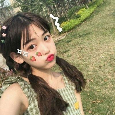 成凰录